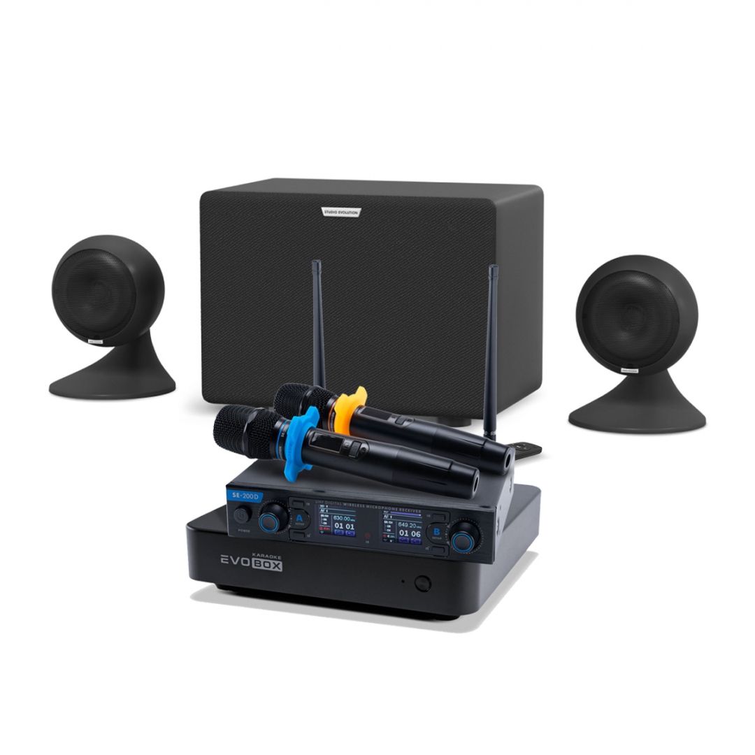 караоке-комплект EVOBOX + EvoSound Sphere 2.1 в Рошали