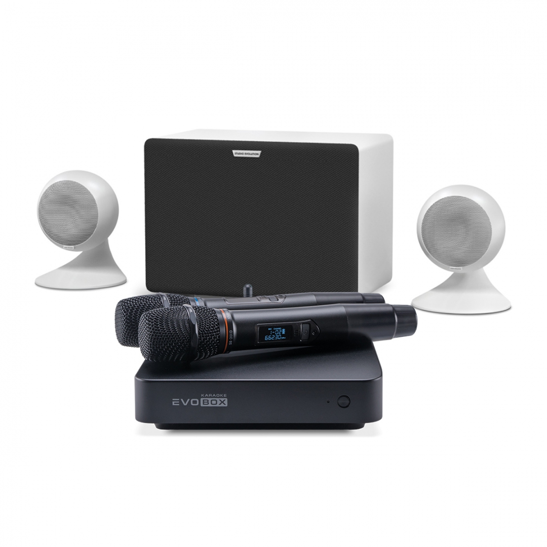 караоке-комплект EVOBOX Classic + EvoSound Sphere 2.1 в Рошали