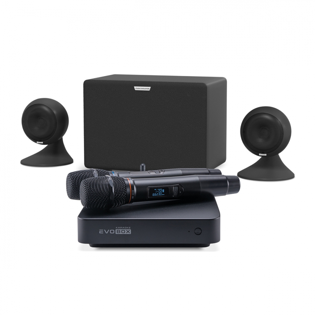 караоке-комплект EVOBOX Plus + EvoSound Sphere 2.1 в Рошали