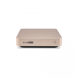 EVOBOX с микрофонами в Рошали