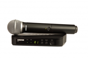 SHURE BLX24E/PG58 M17 вокальная радиосистема в Рошали